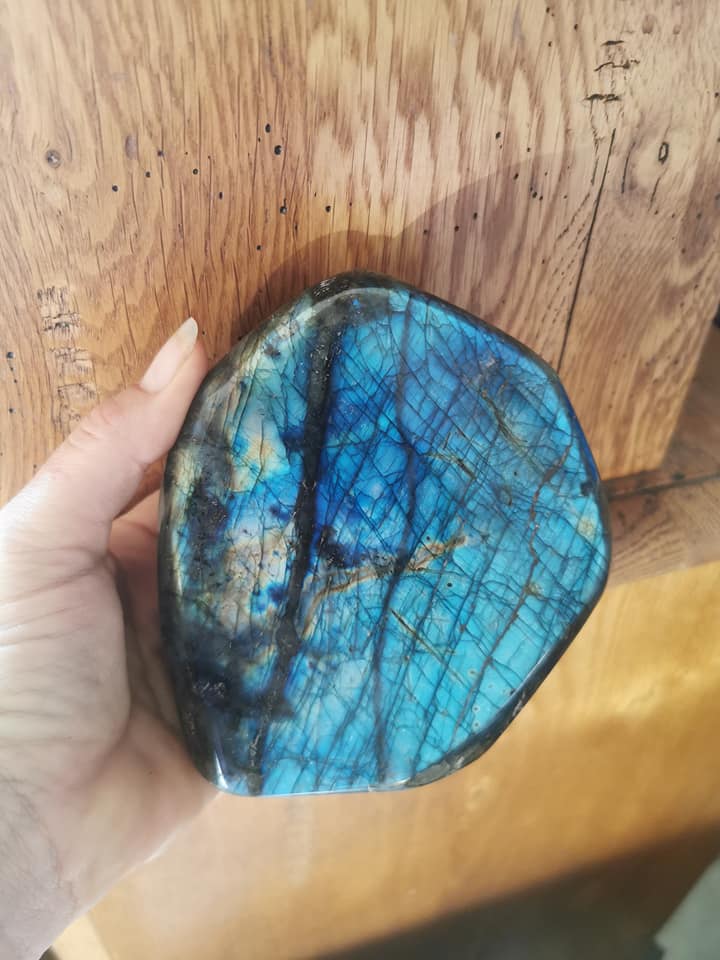 243037767_3126986567531605_2099128085288726998_n