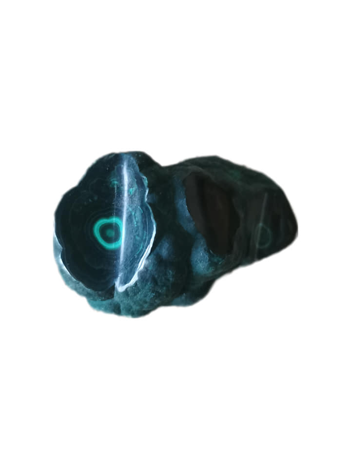 246481215_3147589285471333_2402700274503368162_n