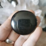 GALET de Shungite