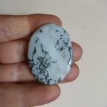 GALET EN AGATE arborisée