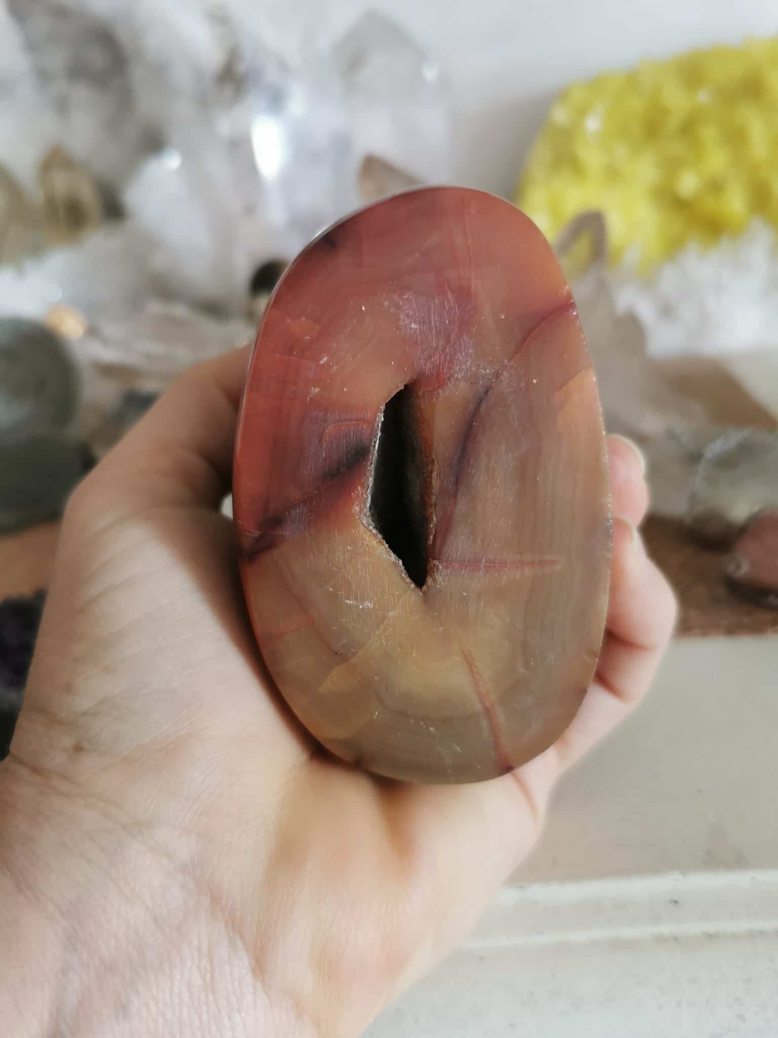 274670614_3240959069467687_4161402014408077330_n