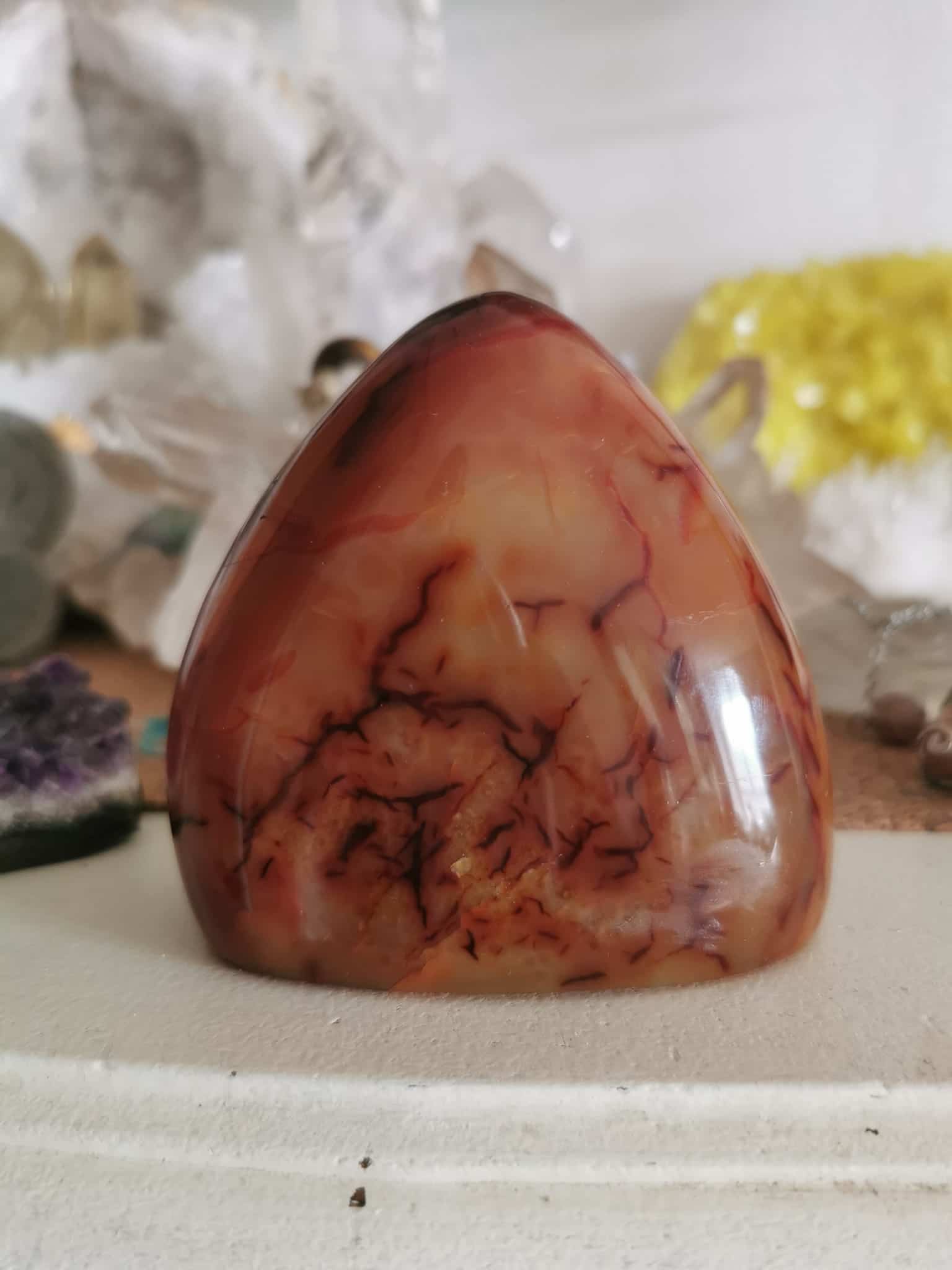 274786139_3240958999467694_7143476366295795585_n