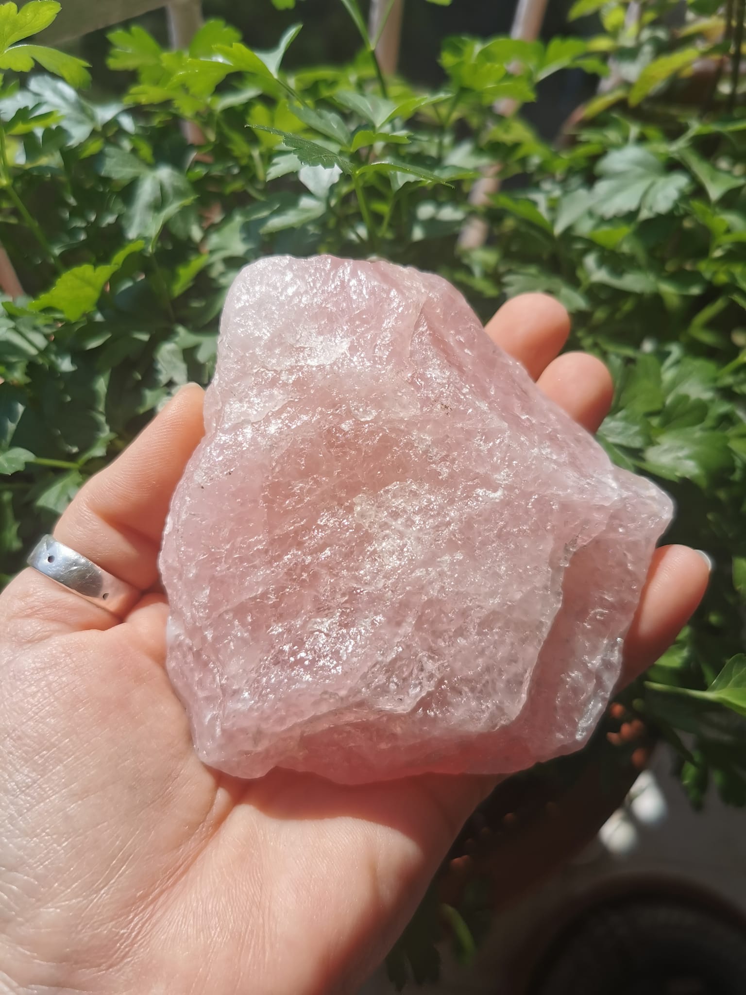 Quartz Rose Brut 424 Grammes-