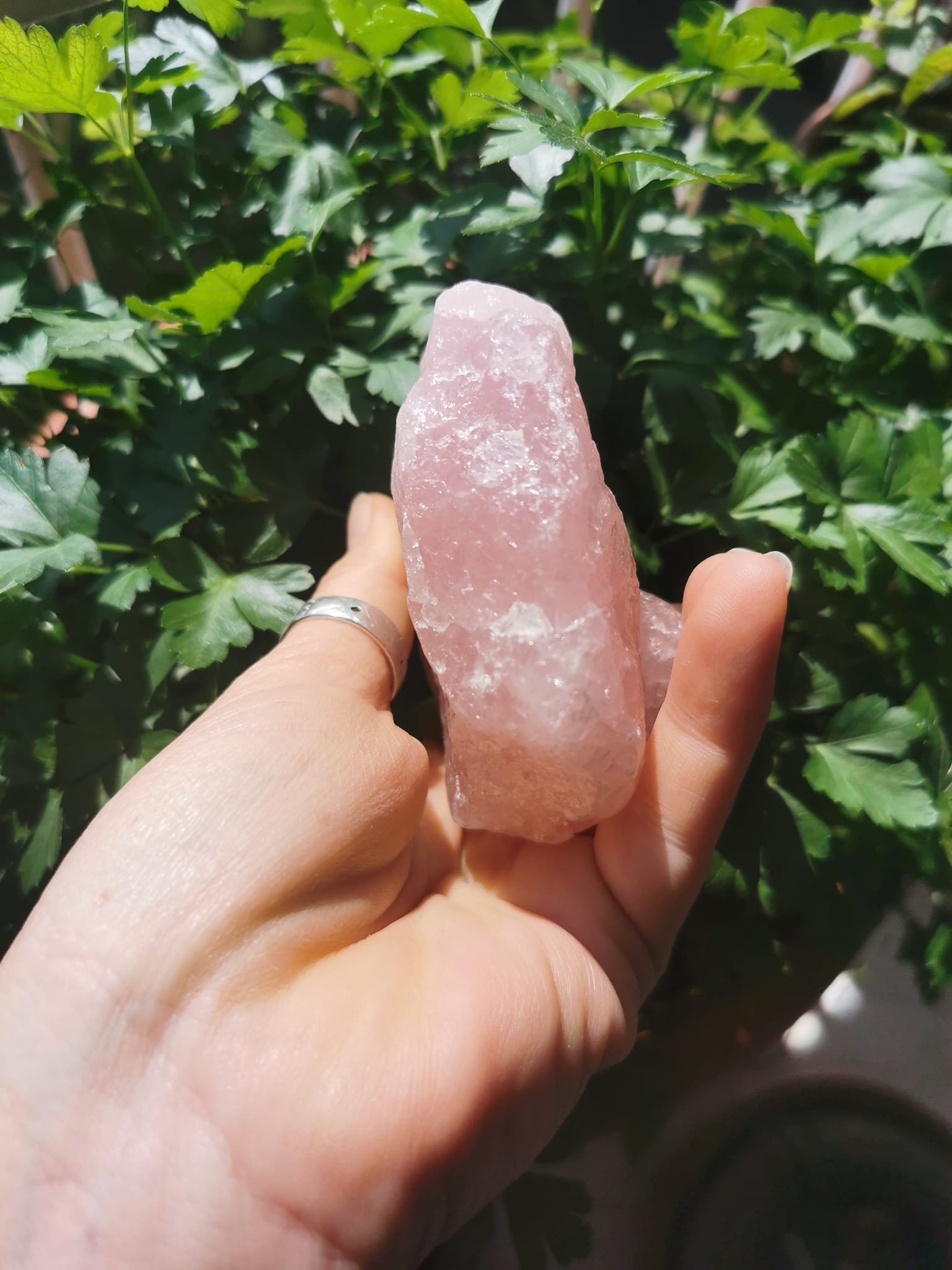 Quartz Rose Brut 424 Grammes...